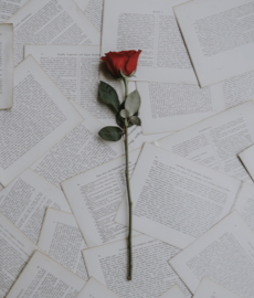 Las más bellas cartas de amor de la historia 