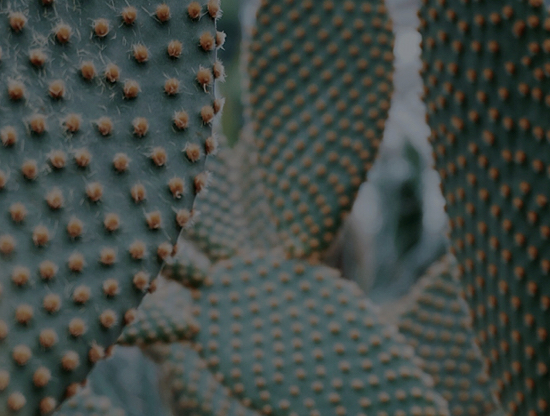 5 tips para una belleza interior