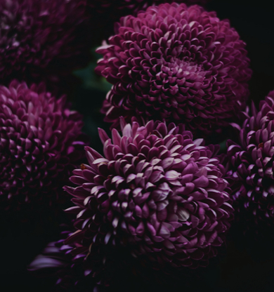 Thawing dating, qué implica y cómo aplicarlo