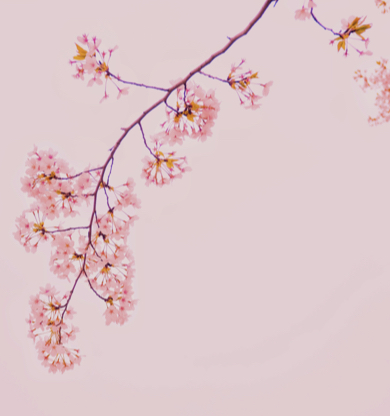 Las 5 mejores series de época