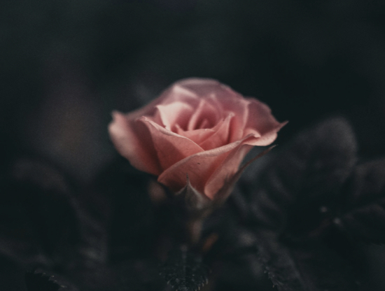 Cómo mantener viva la chispa en relaciones duraderas