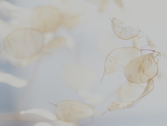 ¿Por qué a veces insistimos en alguien que no está disponible emocionalmente?