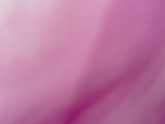 Octubre Rosa: Amor propio y prevención