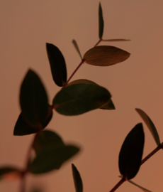 ¿Cómo sobrevivir a una crisis en la relación?