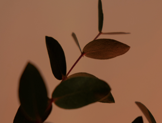 ¿Cómo sobrevivir a una crisis en la relación?