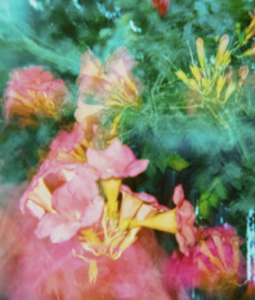 Secretos de amor sin filtro: el arte de amar en tiempos reales