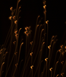 Cómo lidiar con la soledad afectiva en las fiestas de fin de año