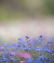 Cómo empezar el año con más amor sin necesidad de estar en una relación