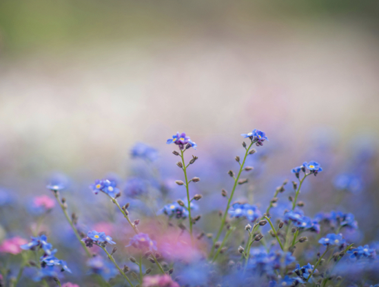Cómo empezar el año con más amor sin necesidad de estar en una relación