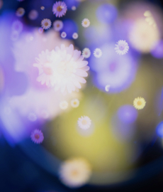 Entre likes y mensaje, el nuevo lenguaje del amor