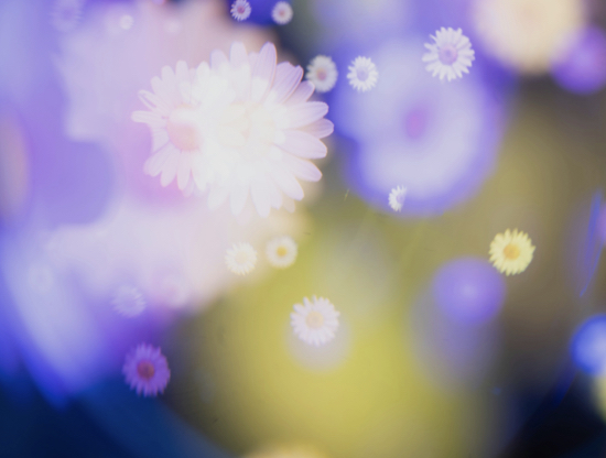 Entre likes y mensaje, el nuevo lenguaje del amor