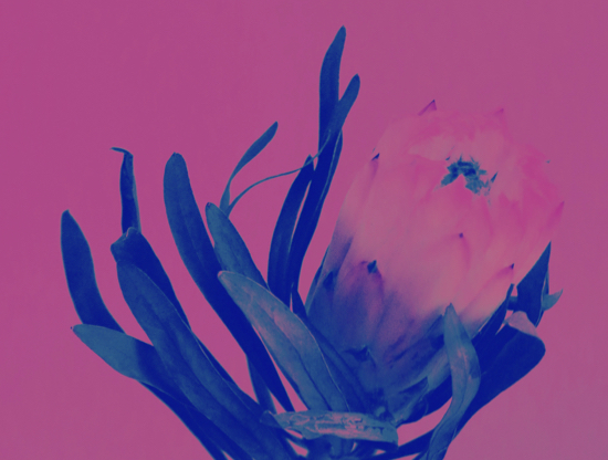 Date solo: ¿cómo aprender a disfrutar de tu propia compañía?